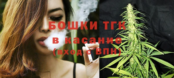 стаф Балахна