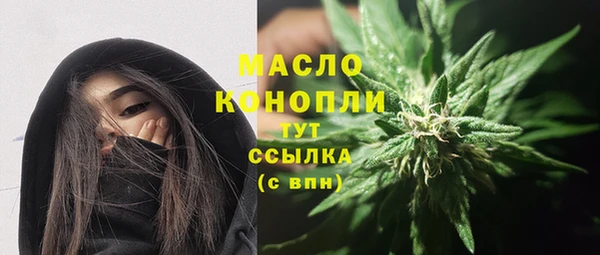ешки Снежинск