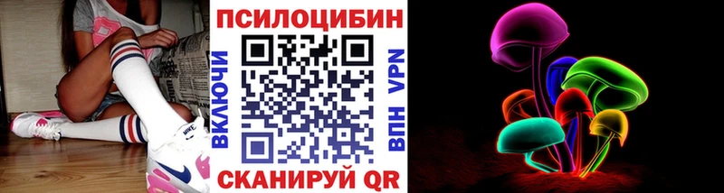 Галлюциногенные грибы Psilocybine cubensis  сколько стоит  даркнет официальный сайт  Салаир 